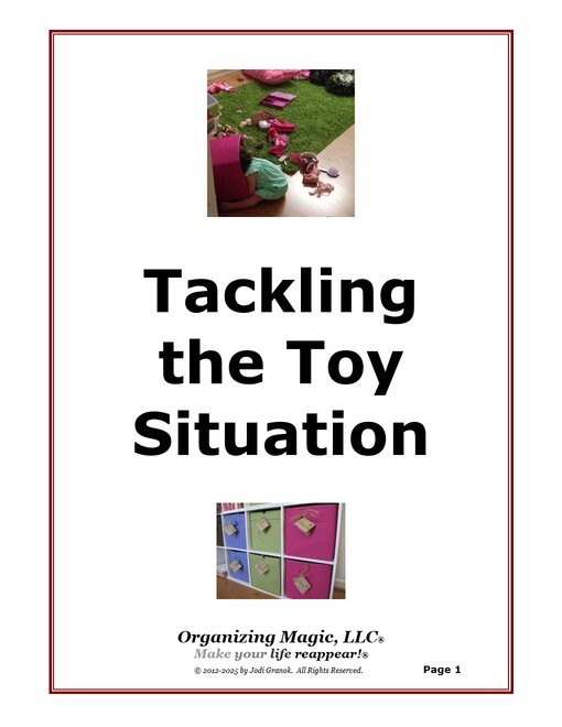 You can purchase Tackling the Toy Situation on our website.